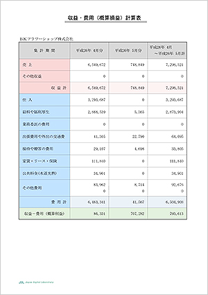 収益・費用（概算損益）計算表