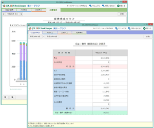 収益・費用（概算損益）計算表