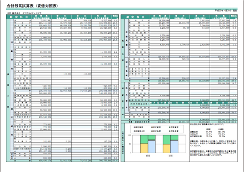 合計残高試算表 ( 貸借対照表 )

