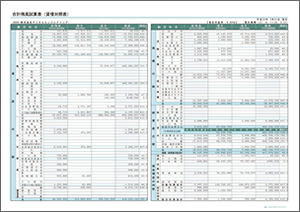 合計残高試算表（貸借対照表）