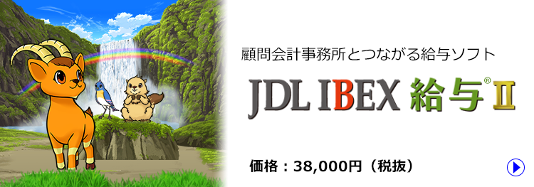 JDL IBEX給与II